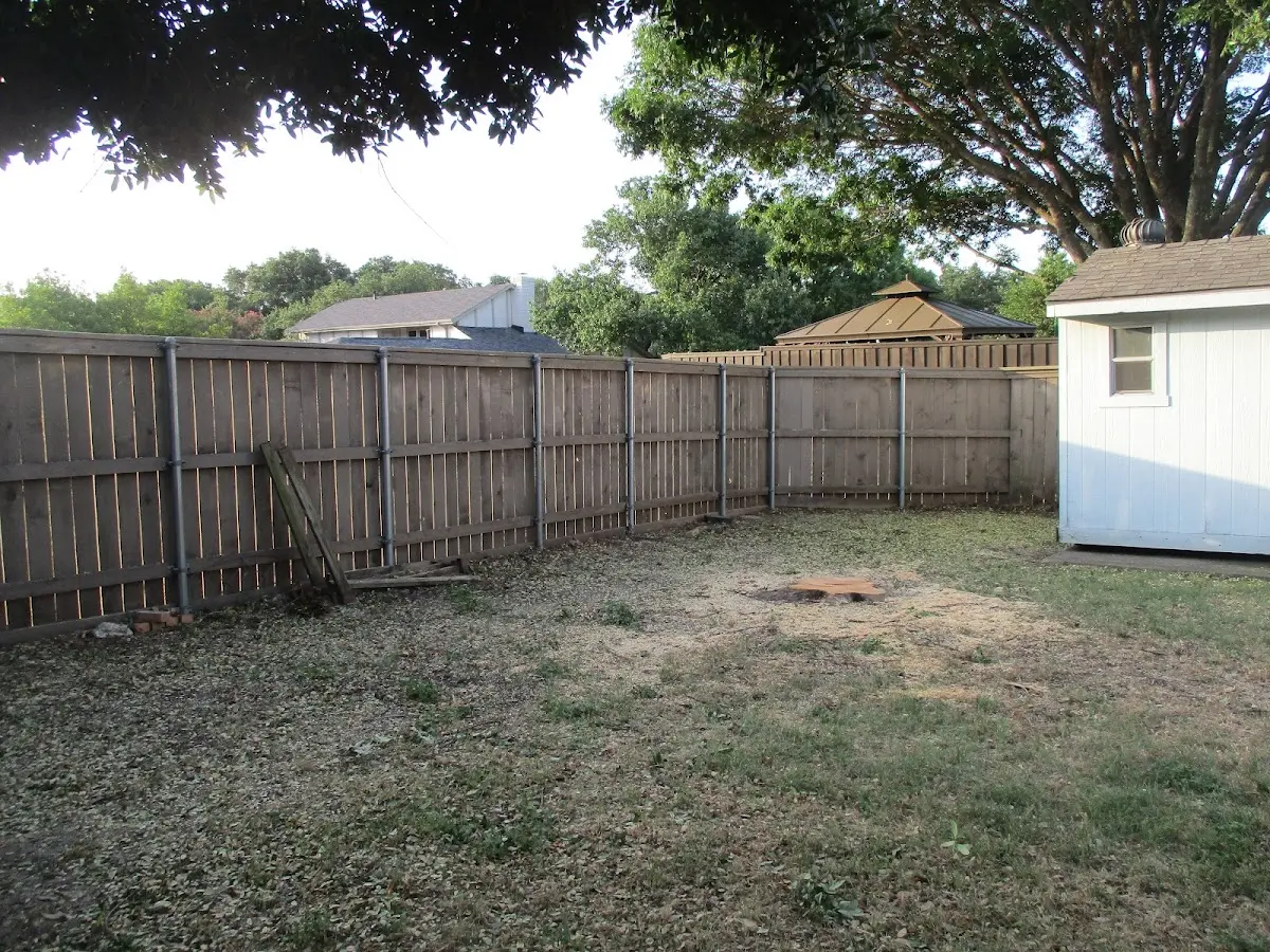Cleared yard after professional tree removal in Broadbent